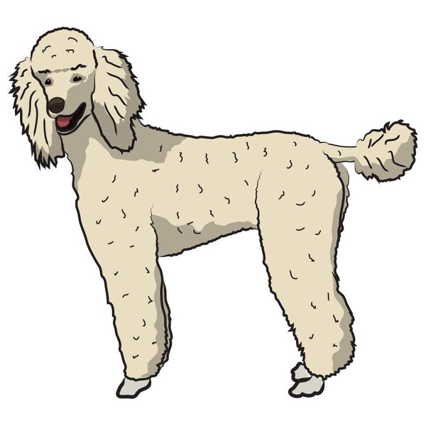 Signmission Poodle Dog Decal, Dog Lover Decor Vinyl Sticker D-12-Poodle - main